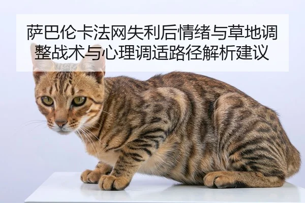 sa-ba-lun-ka-fa-wang-shi-li-hou-qing-xu-yu-cao-di-tiao-zheng-zhan-shu-yu-xin-li-tiao-shi-lu-jing-jie-xi-jian-yi-2-430.jpg